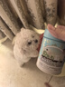 Twinkling star鳖蛋爆毛粉100g卵磷脂海藻粉补钙颗粒宠物犬猫通用美毛 实拍图