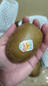 佳沛（zespri）意大利  阳光金奇异果10粒礼盒巨大果单果约144-175g 年货礼盒 实拍图