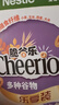雀巢（Nestle）进口脆谷乐儿童零食500g谷物圈儿童麦片早餐即食非油炸全谷物 实拍图