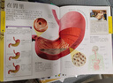 DK儿童人体百科全书 精装正版 探索身体奥秘 小学生科普百科书籍 6-12岁人体结构知识 生理卫生启蒙书 儿童年货节送礼 实拍图