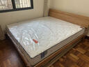 喜临门城市爱情 极光白2S 椰棕床垫 邦尼尔弹簧床垫 1.8x2米 偏硬 实拍图