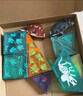 弥鹿（MiDeer）儿童钻面彩窗磁铁拼插玩具恐龙积木磁力片-侏罗纪探险新年礼物 实拍图