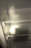 志高（CHIGO）双门冰箱家用小型一级能效办公室出租房宿舍用双开门中型二门电冰箱节能省电 一级能效-搁架款168L【冷藏三层 冷冻三层】 实拍图