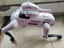 盈佳智能ai机器狗rc遥控车早教编程机器人儿童玩具男女孩生日新年礼物 实拍图