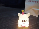 可爱线条小狗小夜灯蜡笔小新生日快乐星星创意氛围灯节日生日礼物送女生 蛋糕小狗灯 实拍图