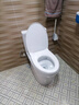 TOTO马桶智洁无棱内壁直冲节水全包家用坐便器CW982EB 305坑距(04-B)  实拍图