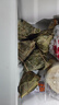 五芳斋 速冻蛋黄猪肉粽 100g*5只 嘉兴粽子蛋黄肉粽端午粽子早餐食品 实拍图