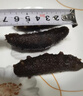 鲜出动大连即食海参刺参深海辽刺参海参干货13-17头 净重500g 实拍图
