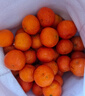 京鲜生 广西荔浦砂糖橘 净重4.5斤 单果35-45mm  年货水果 源头直发包邮 实拍图