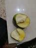 庾丰 芒果新鲜水果生鲜整箱当季大青皮芒 热带孕妇芒果 5斤装(净果4.5斤)单果200g+ 实拍图