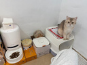 Hiigge嗨吉雪仓宠物智能称重无线自动喂食器 猫狗定时定量喂食器 实拍图