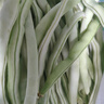 京鲜生山东新鲜白芸豆净重3斤装白不老新鲜蔬菜源头直发包邮 实拍图