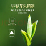 天福茗茶 绿茶龙井茶 明前龙井茶2026年春茶 100g罐装 实拍图