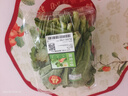 【24小时菜】富硒茼蒿200g 实拍图