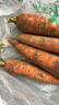 京喜加新鲜现挖现发胡萝卜农家自种蔬菜水果沙地红萝卜 带泥胡萝卜2斤 含箱 实拍图
