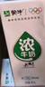 蒙牛浓牛奶200ml*24盒 多39%蛋白质奶香浓郁咖啡搭档 送礼盒装 实拍图
