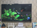 华为Vision智慧屏 5 65英寸 鸿蒙AI搜片 Super MiniLED 一级能效国家补贴投屏液晶平板电视机HD6XAJMN 实拍图