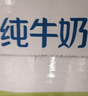 伊利【新鲜日期】纯牛奶250ml*24盒 优质乳蛋白 严选牧场 年货礼盒装 实拍图