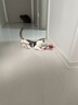 HELLOJOY猫咪玩具自嗨解闷神器智能电动逗猫球自动逗猫棒幼猫遛猫消耗体力 实拍图