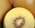 佳沛（zespri）意大利 阳光金奇异果12粒年货礼盒特大果单果约122-146g 猕猴桃 实拍图