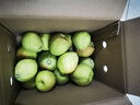 京鲜生 新疆特级库尔勒香梨 净重5斤单果120g以上 生鲜水果 实拍图