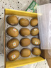 佳沛（zespri）意大利 阳光金奇异果12粒年货礼盒特大果单果约122-146g 猕猴桃 实拍图