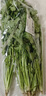 带根香菜100g 实拍图