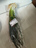 安心小香葱约150g 实拍图
