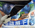 三只松鼠每日蓝莓干256g/16包 无添加水果干果脯小包装儿童老人办公室零食 实拍图
