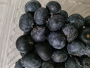 怡颗莓Driscoll's云南蓝莓14mm+ 2盒装 约125g/盒 新鲜年货水果  实拍图