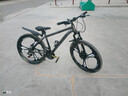 凤凰上海凤凰山地车自行车男士女式学生成人变速宽胎越野公路赛单车 【钢架/全套竞速轴承】三刀浅灰 26寸24速【建议身高158-188cm】 实拍图
