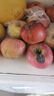 疆域采虹正宗沙瓤西红柿现摘新鲜沙瓤水果生吃西红柿沙漠四川特产自然熟 严选12枚尝鲜装【手选小果】单果约为50g+ 实拍图