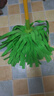 3M 思高一拖净棉线布条吸水无纺布拖把墩布家用一拖净老式传统拖把 耐用型拖把1杆+2头 实拍图