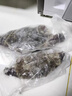 梭子蟹鲜活特大野生舟山大螃蟹海鲜新鲜冷冻海蟹水产飞蟹白蟹顺丰 5-7两/只 【净重4斤大号梭子蟹】 实拍图