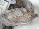舟山梭子蟹鲜活特大野生大螃蟹新鲜冷冻海鲜水产海蟹飞蟹白蟹顺丰 9两以上/只【5斤净重 超大肥美】 实拍图