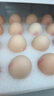 德青源PLUS联名款A+级鲜鸡蛋32枚2.74斤无抗生素 源头直发 1件包邮 实拍图