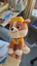 汪汪队立大功（PAW PATROL）毛绒玩具狗狗陪睡玩偶经典款小砾小号坐姿可爱公仔男女孩生日礼物 实拍图