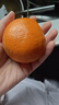 生活＆好管家 四川春见耙耙柑新鲜水果应季橘子现摘孕妇水果整箱桔子橘子 优选级市场果 4.5-5斤【单果60-70mm】净重4.5斤 实拍图