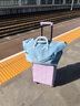 不莱玫行李箱女拉杆箱登机旅行箱男密码大容量侧开三代20英寸 紫色 实拍图