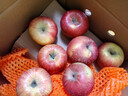 京鲜生陕西洛川红富士净重5斤75-80mm单果170g+新鲜水果源头直发 实拍图