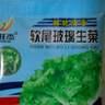 【京东物流】蔬菜种子四季播盆栽阳台庭院香菜生菜菠菜简单秋易种 油麦菜种子1包约1000粒 实拍图