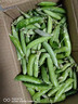 新鲜豌豆四川带壳青豆角水果甜豆荚农家蔬菜 新鲜青豌豆荚净重5斤 实拍图