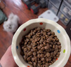 皇家成猫猫粮 营养均衡 F32 通用粮 1-7岁 2KG 实拍图