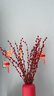 九月生新年装饰银柳真花20支60cm年宵花干花摆件礼盒送礼送亲友带花瓶 实拍图