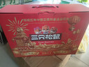 三只松鼠（Three Squirrels）零食大礼包混合干果坚果零食礼盒送礼品高端送人送长辈父母家长 【9大袋含核组合】1408g坚果瑞红礼盒单箱 实拍图