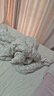 水星家纺被子冬被60%大豆被纤维被冬季被子加厚保暖被芯200x230cm约6.2斤 实拍图
