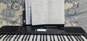 雅马哈（YAMAHA）电子琴PSR-F52/E383初学入门61键成人儿童演奏教学练习考级琴 【力度键盘】E383 实拍图