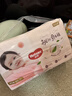 好奇（Huggies）铂金装小桃裤拉拉裤袋装XXL37片(15kg以上)尿不湿【透爽散热】 实拍图