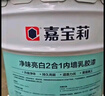 嘉宝莉（CARPOLY）内墙乳胶漆室内墙面漆自刷水性环保油漆涂料白色20kg 实拍图