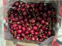 京鲜生 智利进口车厘子J级 10斤礼盒装 果径约26-28mm 水果年货礼盒 实拍图